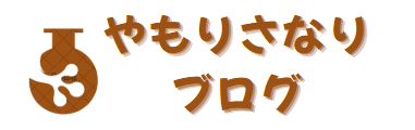 やもりさなりブログ