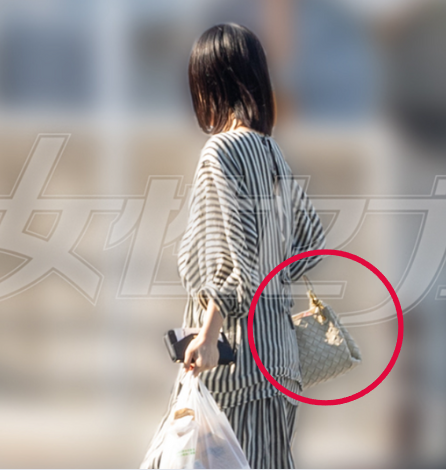 ストライプ柄のワンピを着てボッテガ・ヴェネタのバッグを持っている浜辺美波