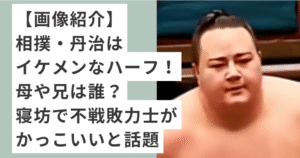 相撲をする丹治