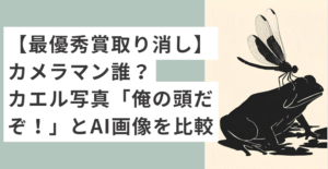 カエルとトンボのイラスト