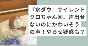 ベッドで寝ているクロちゃん